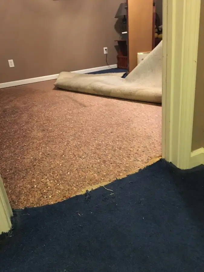Carpet pad removal revealing water damage during Drying & Dehumidification in Perkiomen